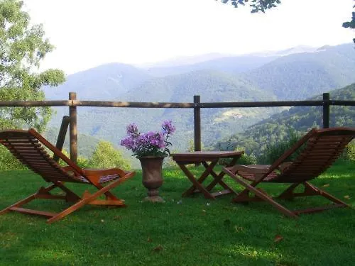 Auberge Les Myrtilles Le Bosc  France